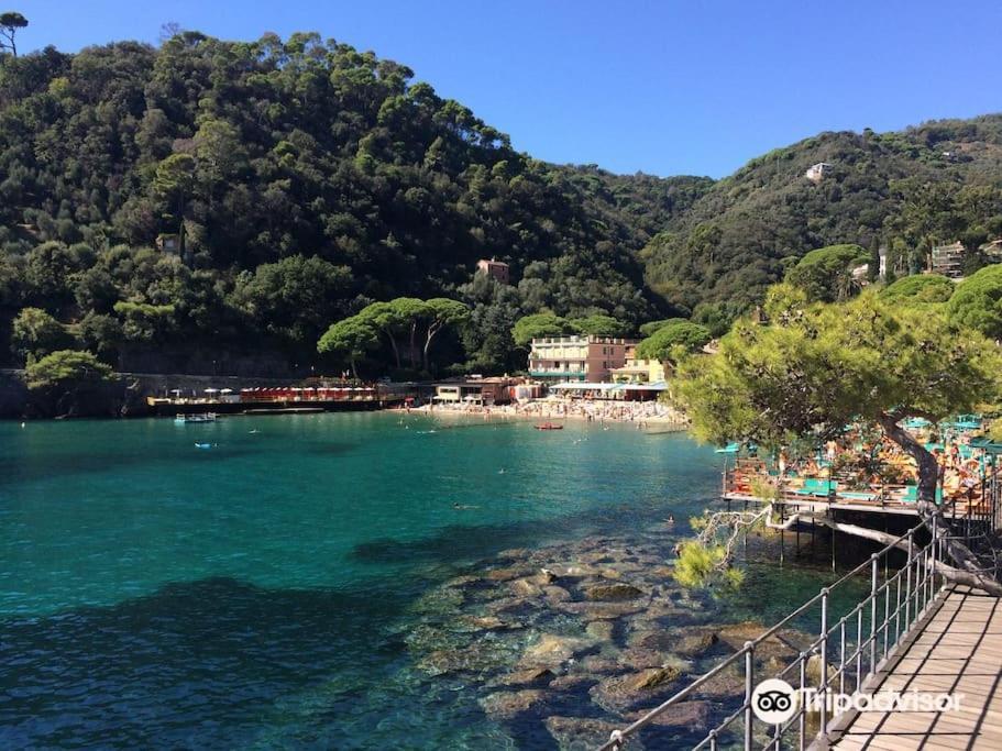 Portofino - Appartamento Vista Mare - Rooftop Terrazzo - In Centro Citta - Free Wifi Rapallo Bagian luar foto